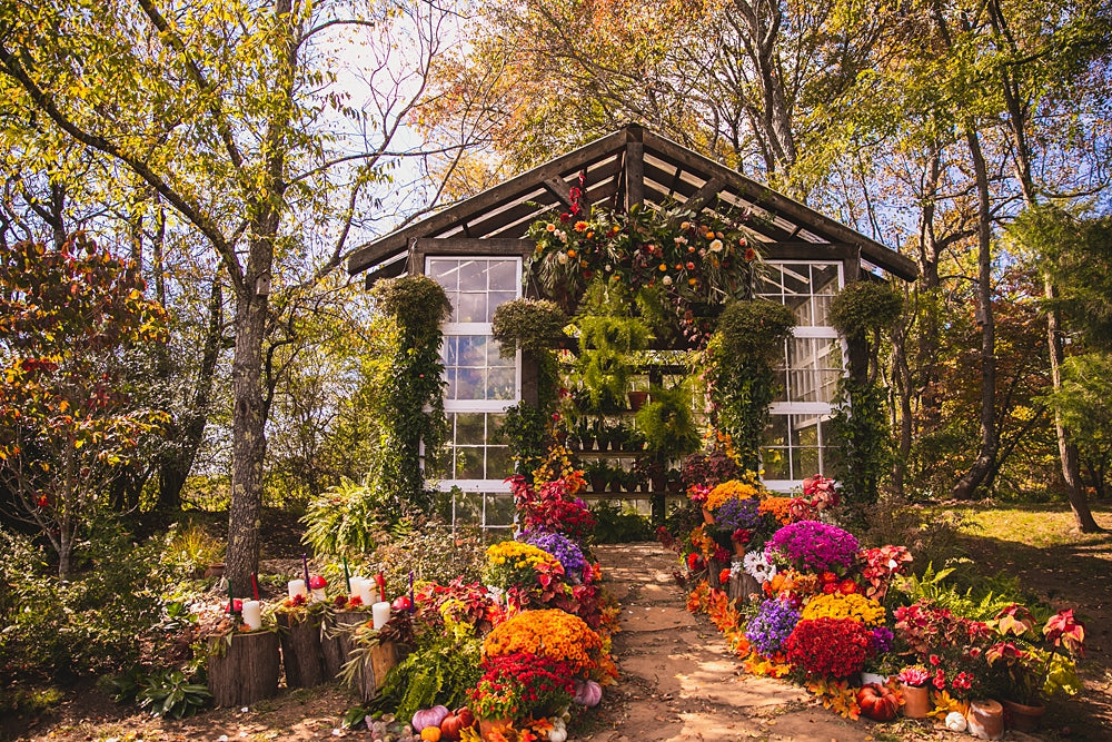 Mini Sessions Vaughan House