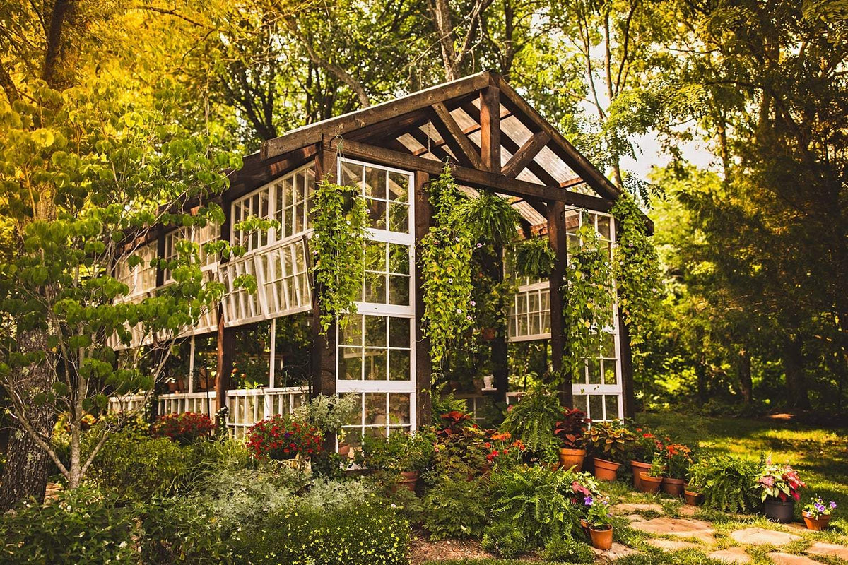 Vaughan House AirBnB & Microwedding Venues Virginia