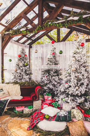 
            
                Load image into Gallery viewer, Christmas at the Greenhouse Mini Sessions
            
        