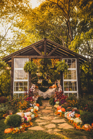 Fall at the Greenhouse Mini Sessions