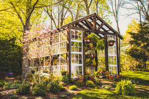 
            
                Load image into Gallery viewer, Spring at the Greenhouse Mini Sessions
            
        