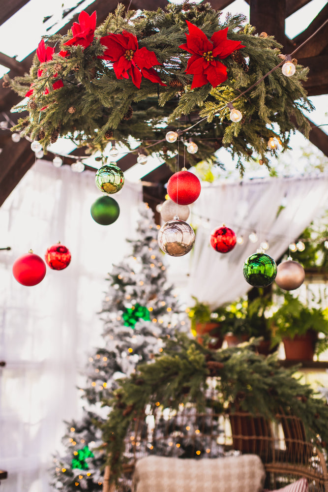 
            
                Load image into Gallery viewer, Christmas at the Greenhouse Mini Sessions
            
        